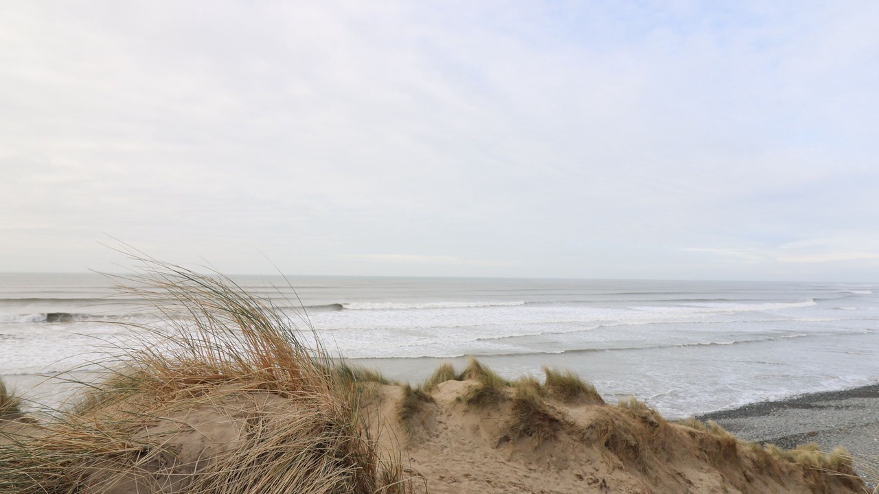 Photo of Others in Borth