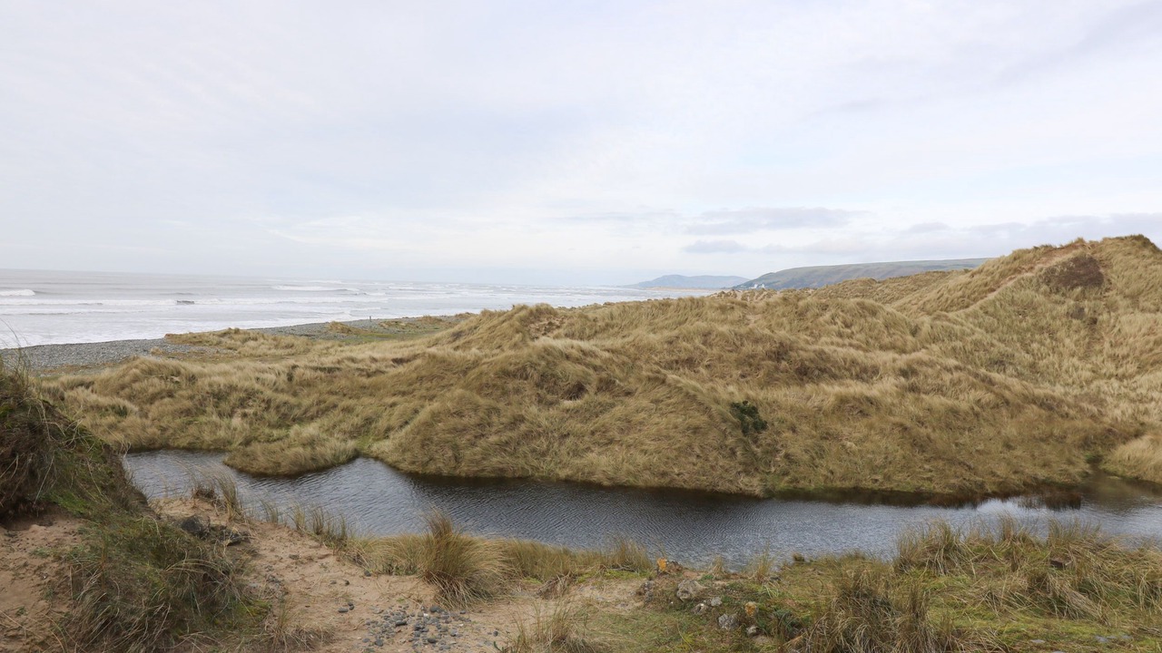 Photo of Others in Borth