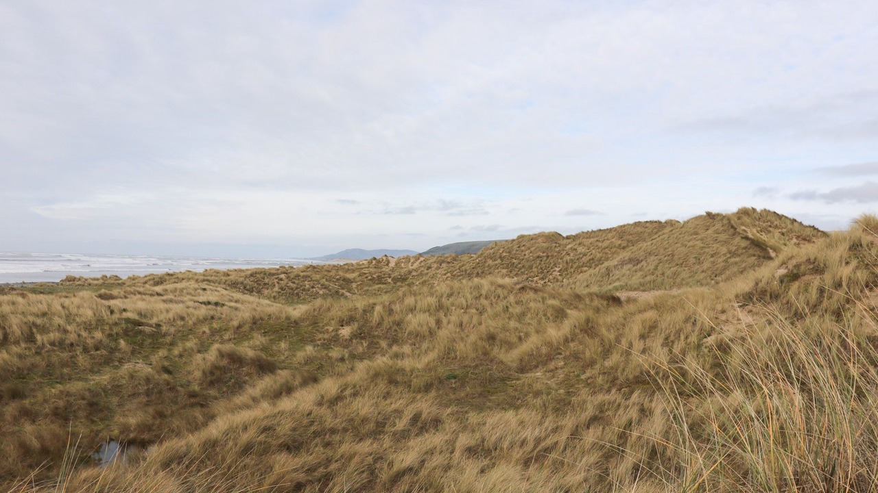 Photo of Others in Borth