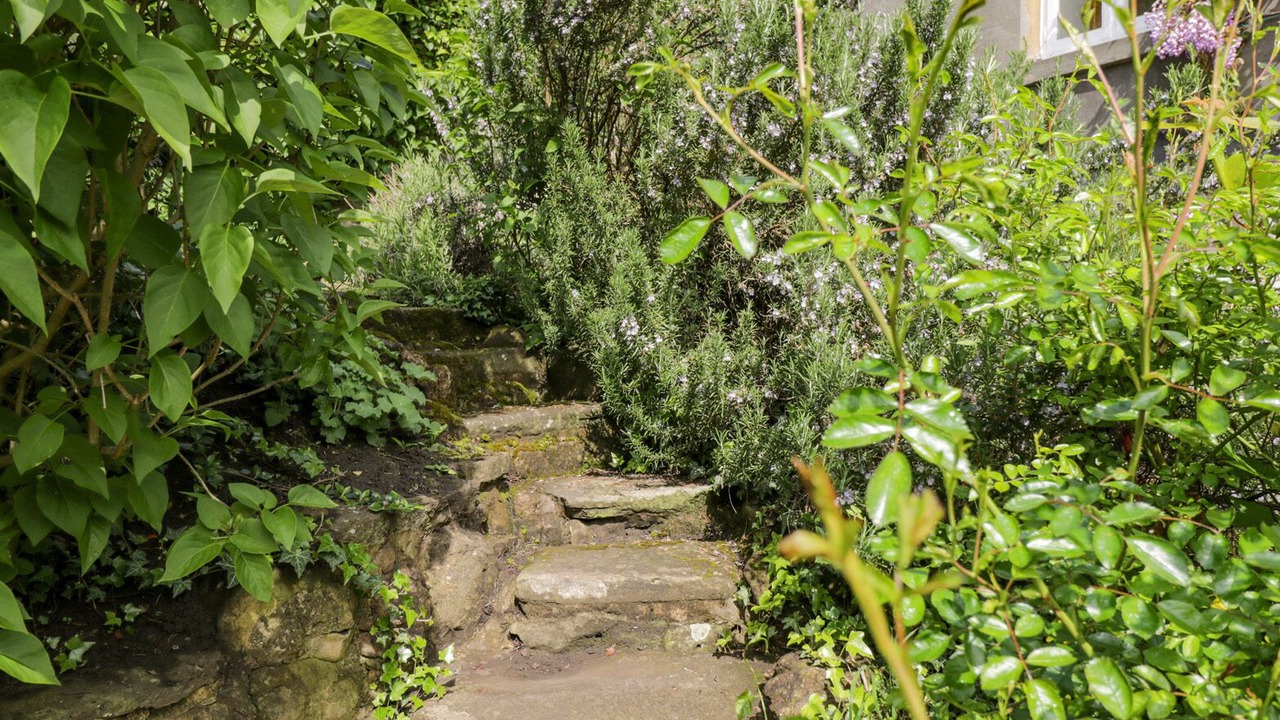 Photo of Others in Lydbrook