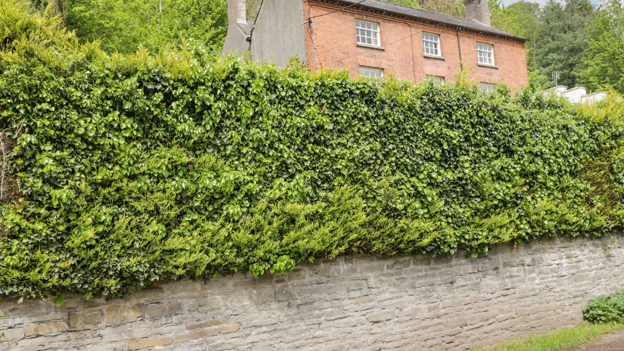 Photo of Others in Lydbrook