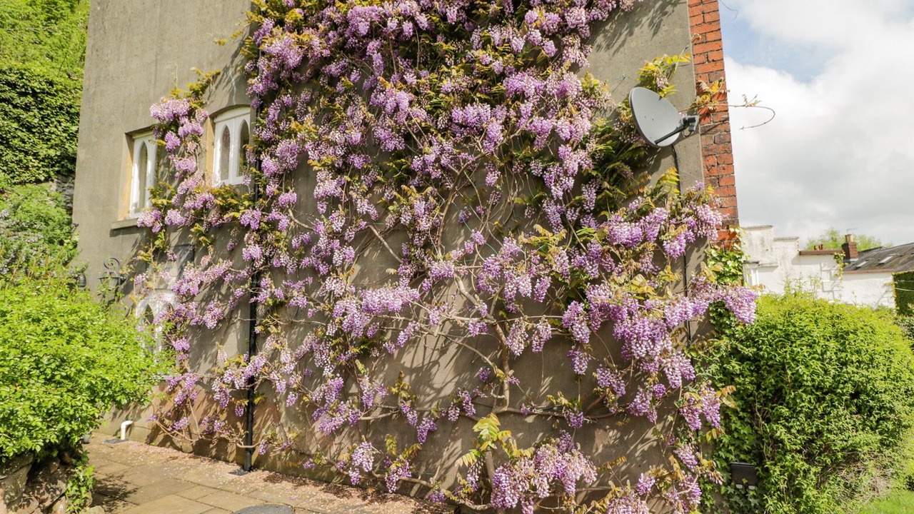 Photo of Others in Lydbrook