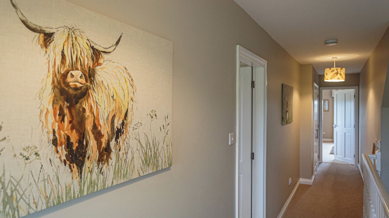 Photo of Others in Stranraer