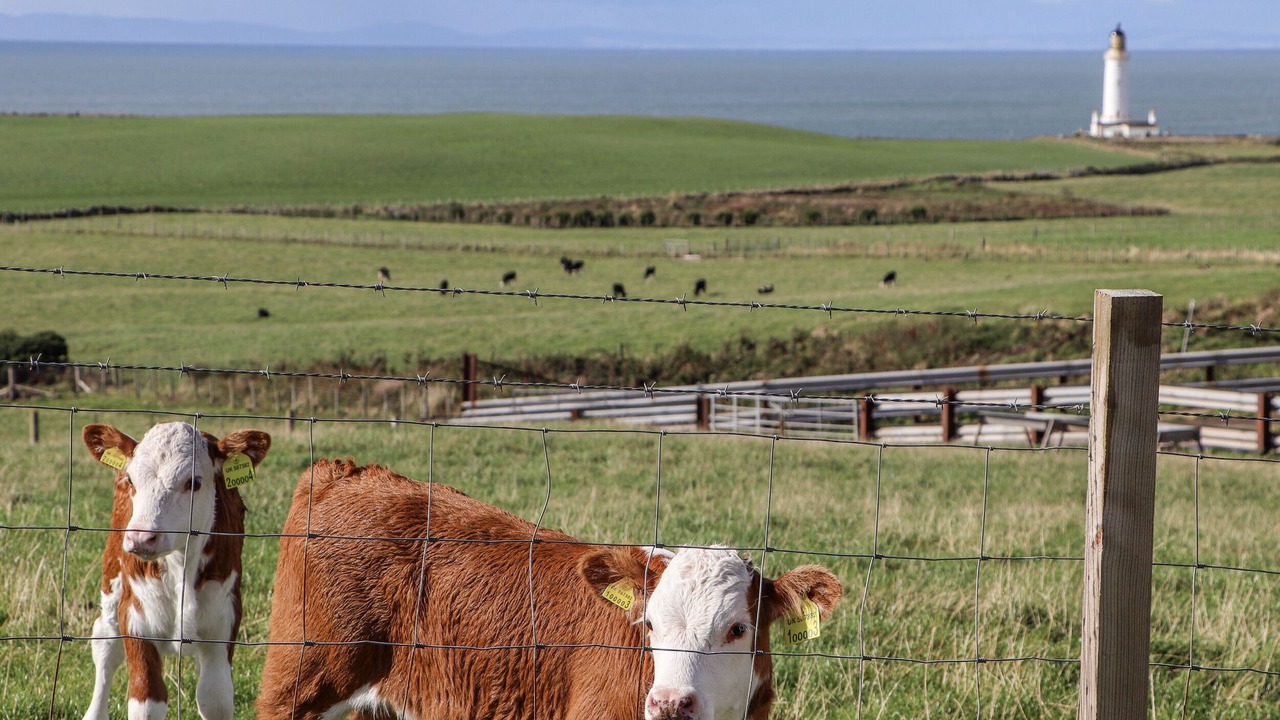 Photo of Others in Stranraer