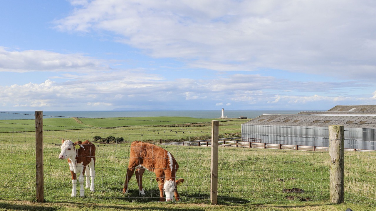 Photo of Others in Stranraer