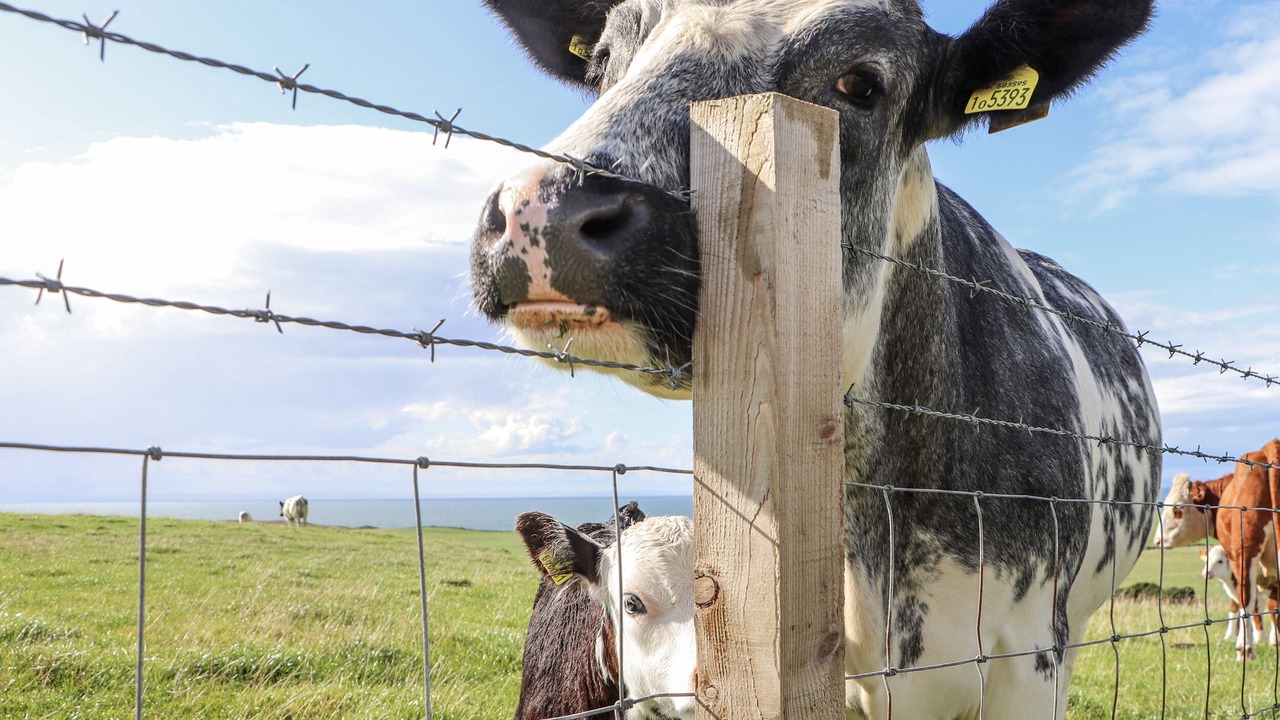 Photo of Others in Stranraer