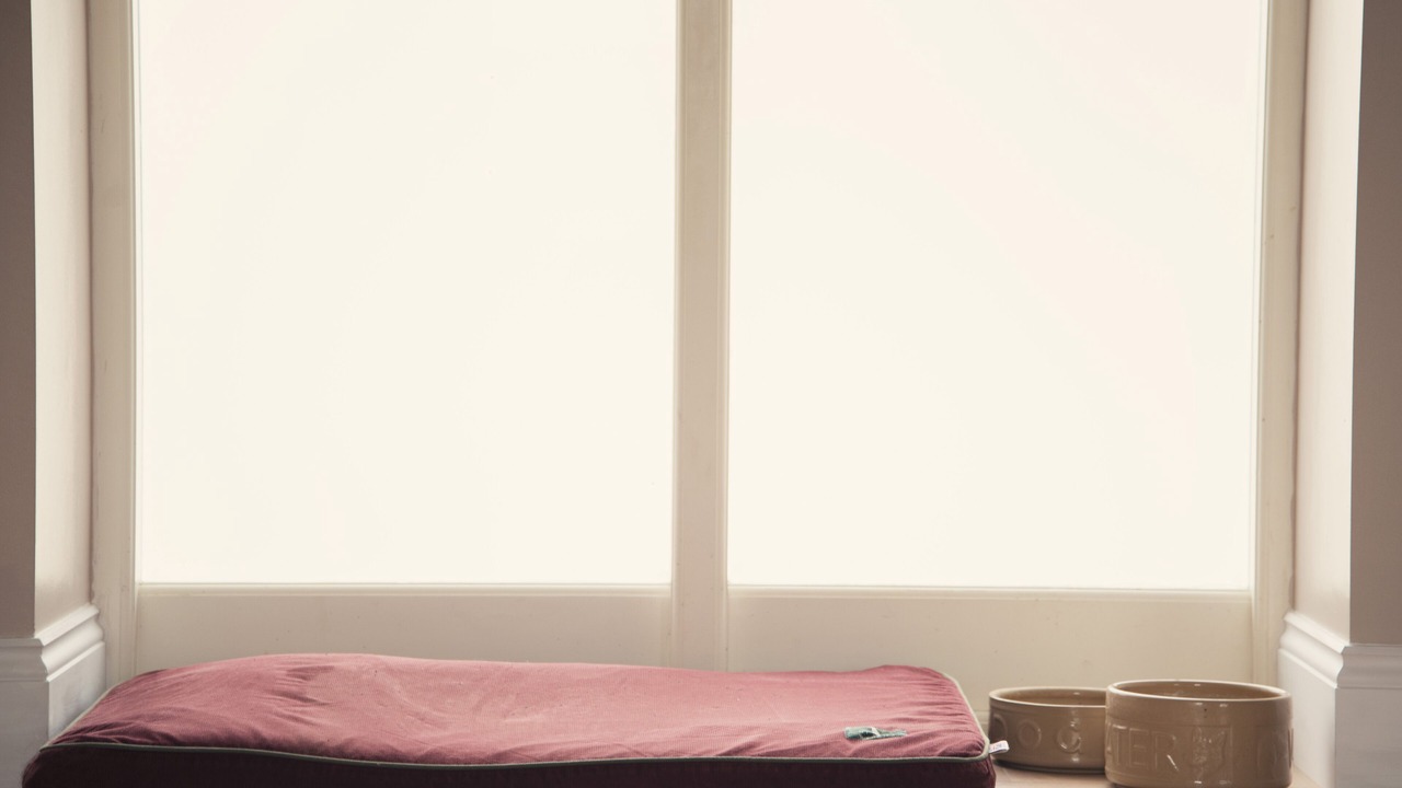 Photo of Others in Boncath