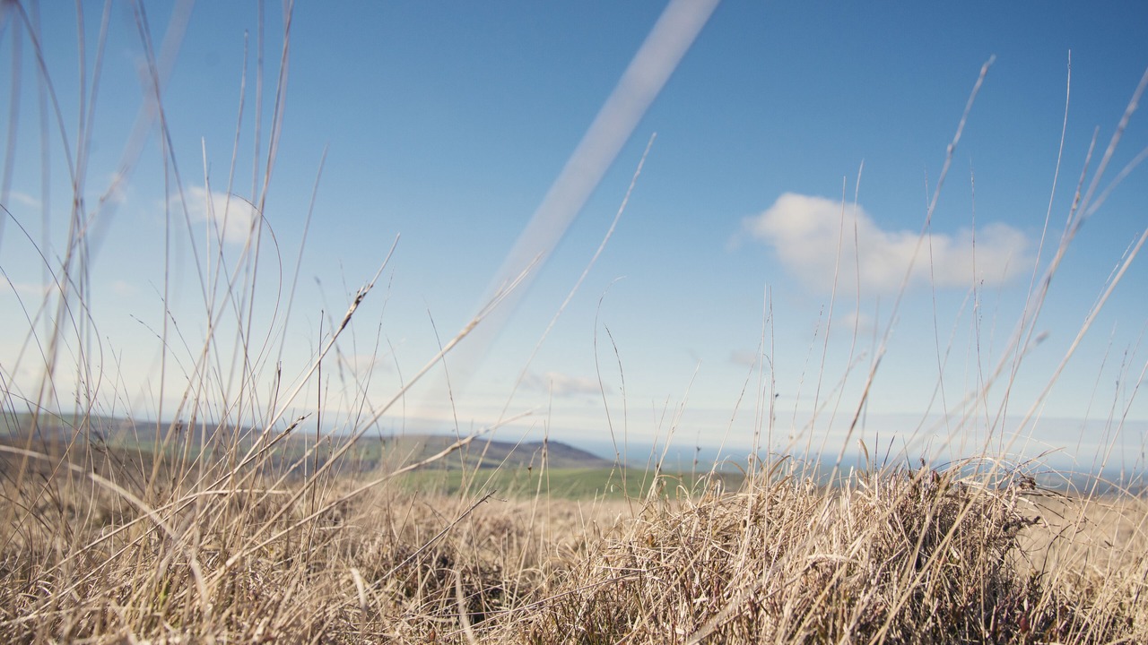 Photo of Others in Boncath