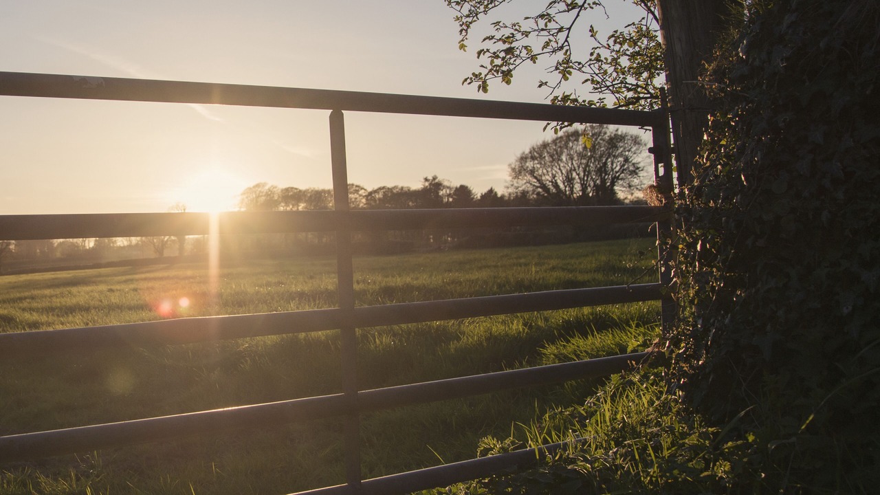 Photo of Others in Boncath