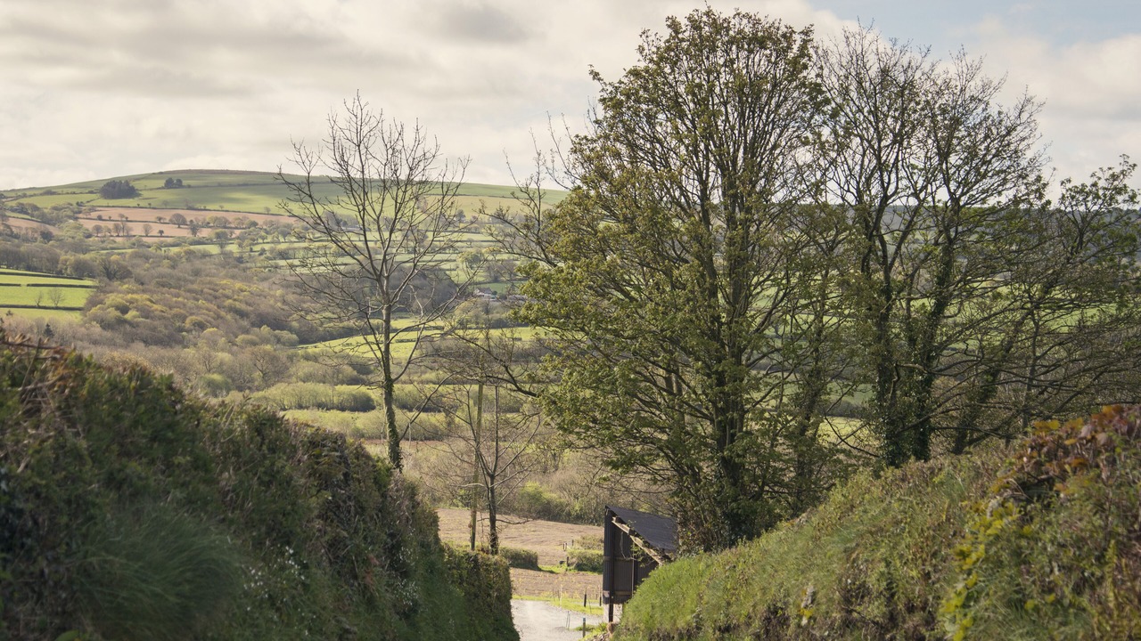 Photo of Others in Boncath