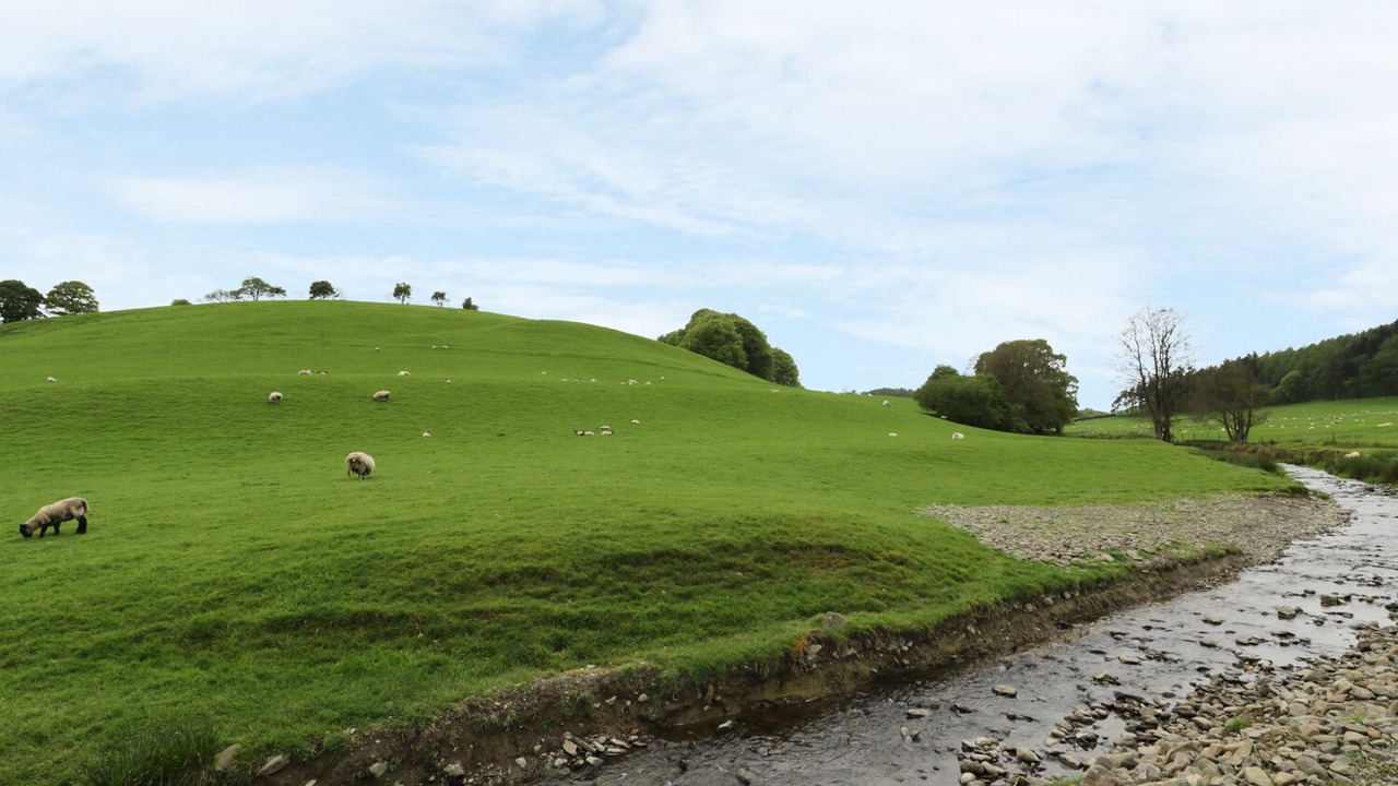 Photo of Others in Llanfair Caereinion