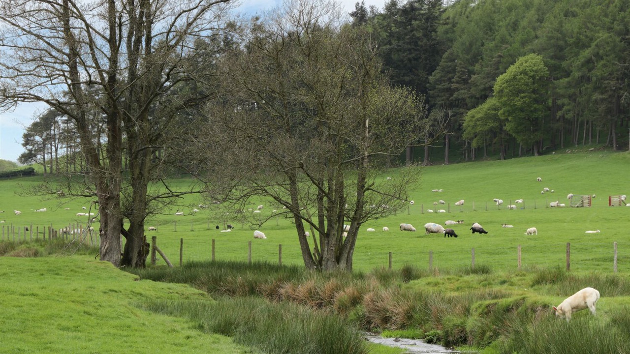 Photo of Others in Llanfair Caereinion