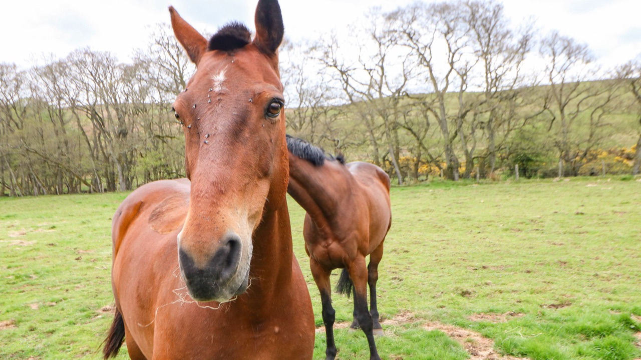 Photo of Others in Hexham