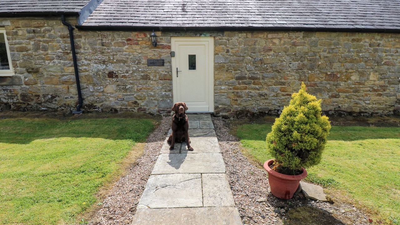 Photo of Others in Hexham