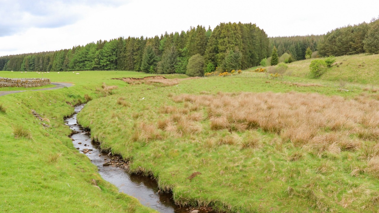 Photo of Others in Hexham