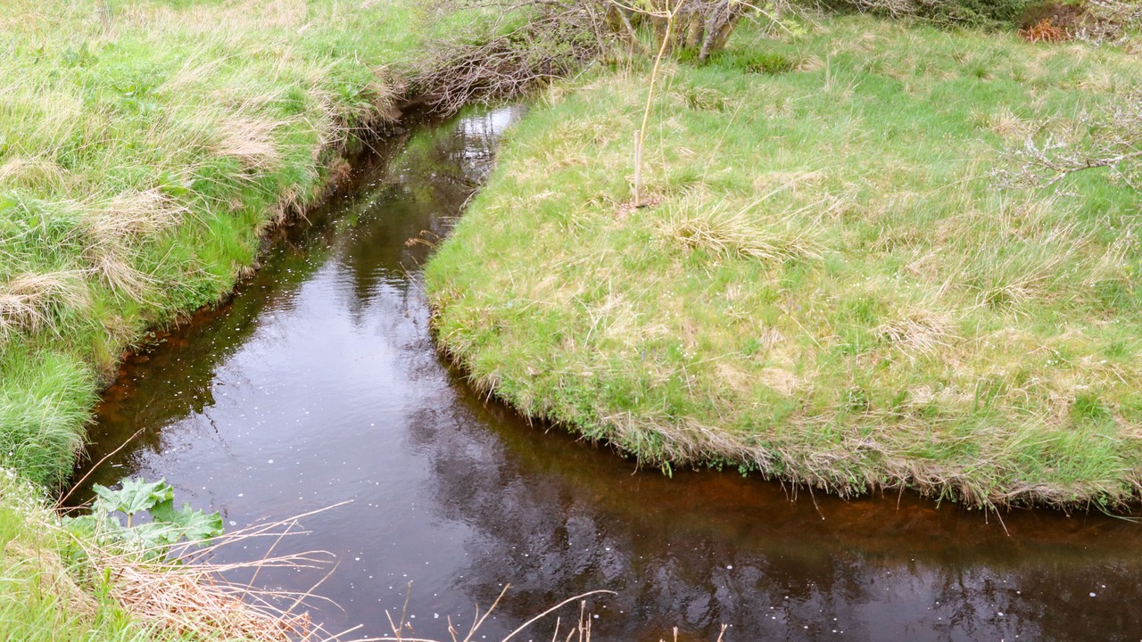 Photo of Others in Hexham