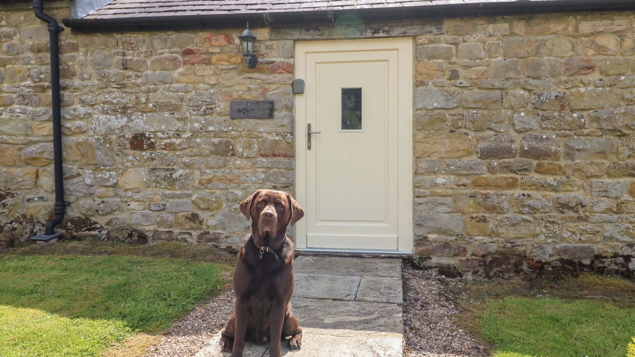 Photo of Outdoor in Hexham