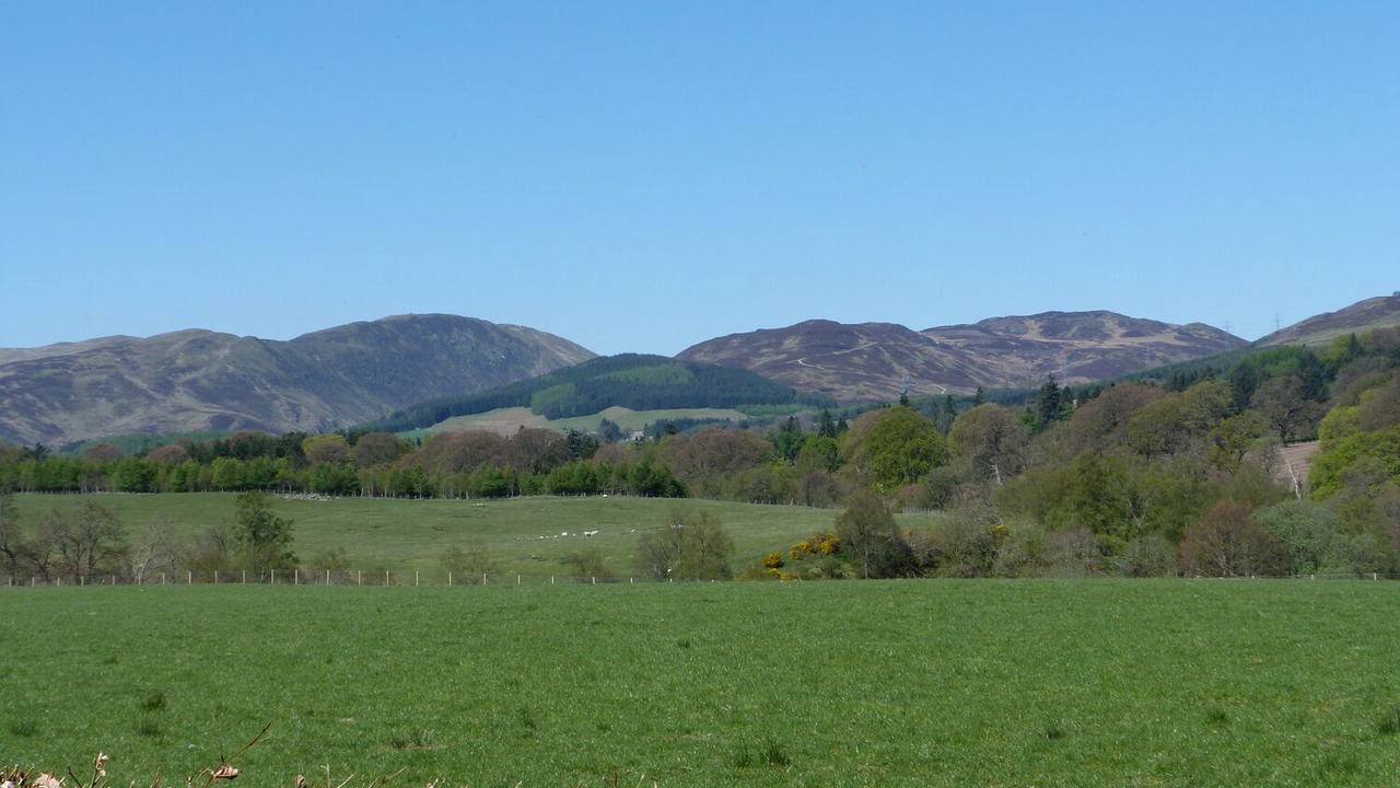 Photo of Others in Perth