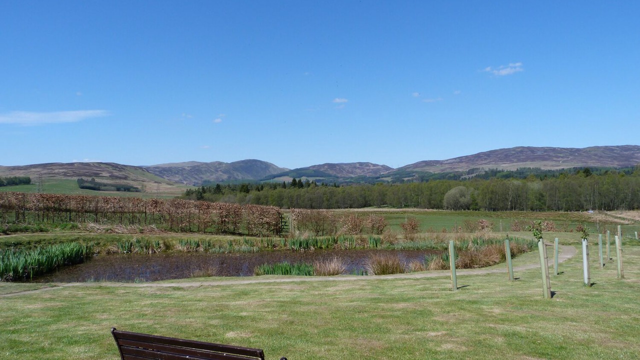 Photo of Others in Perth