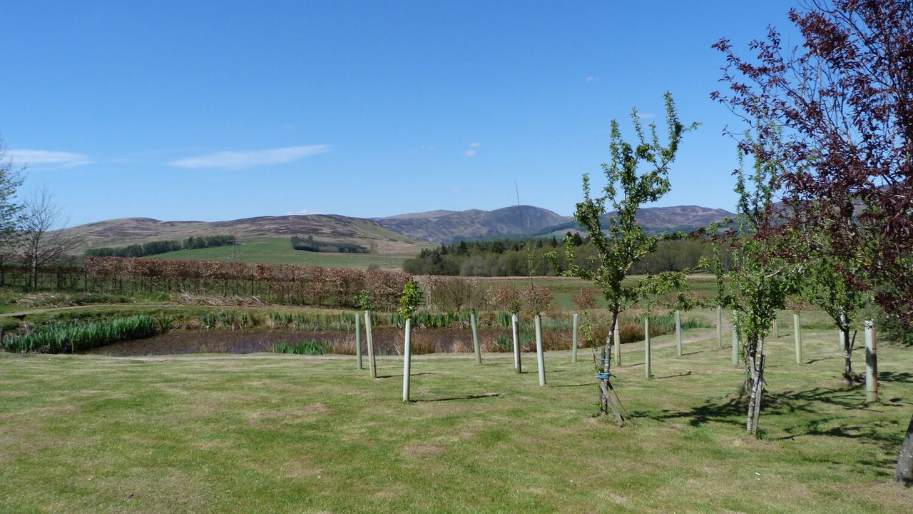 Photo of Others in Perth