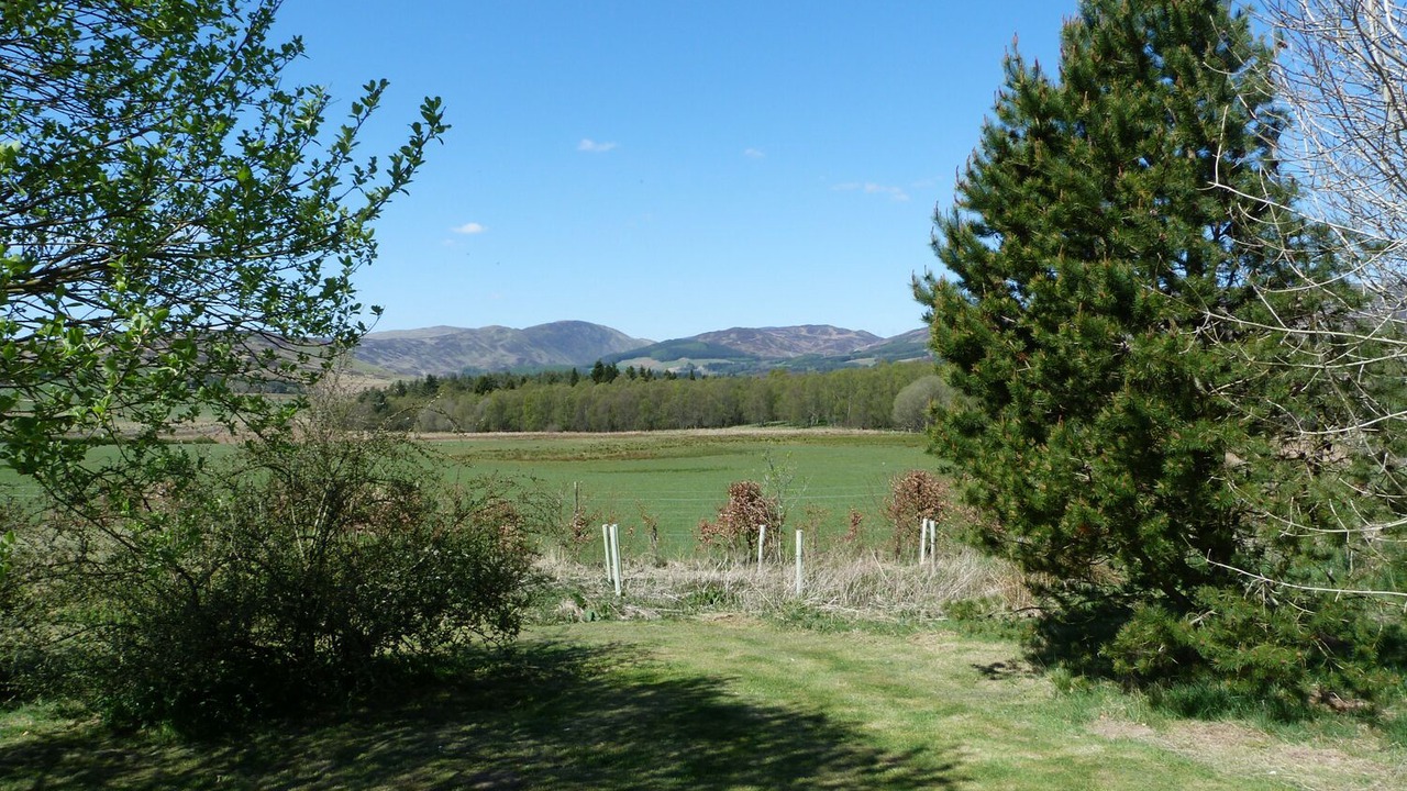 Photo of Others in Perth