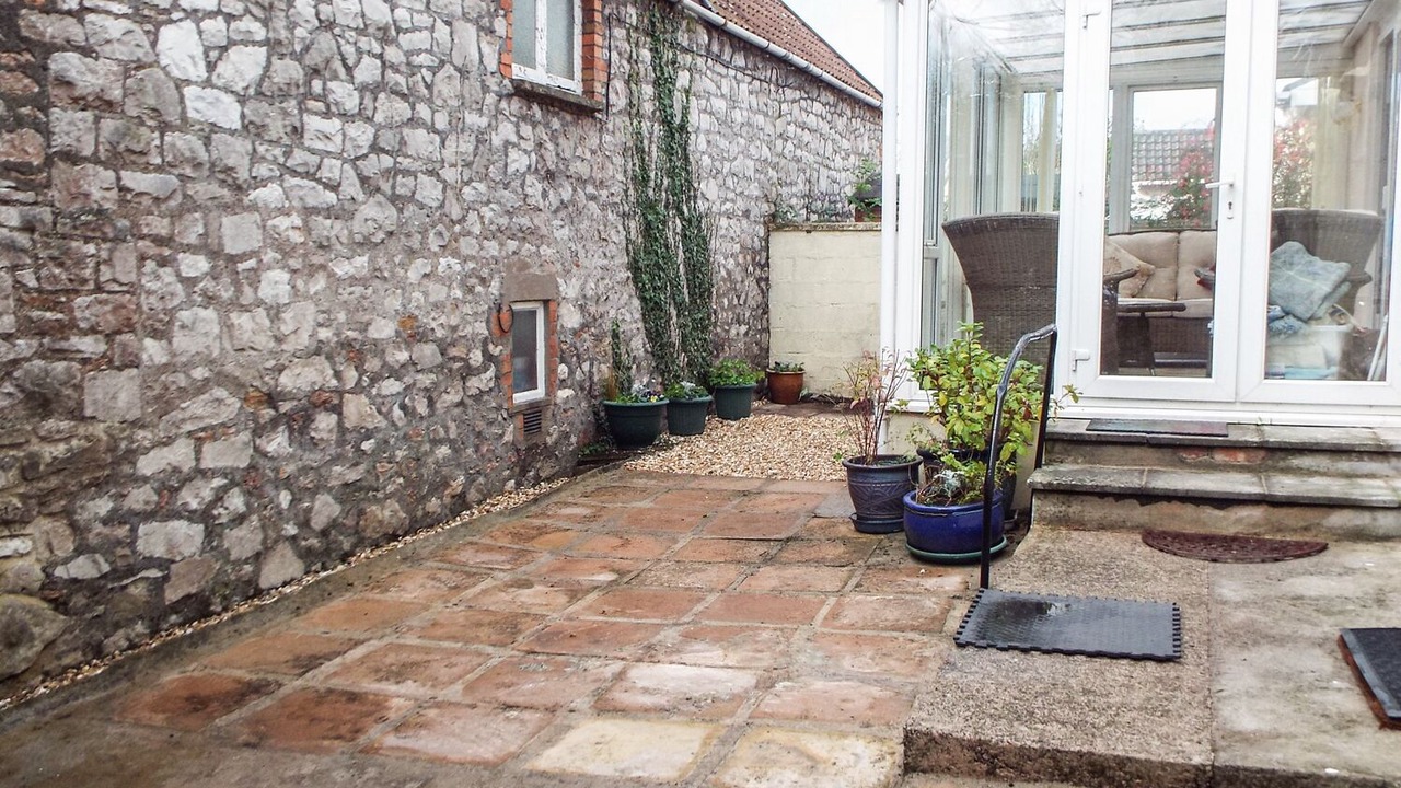 Photo of Others in Cheddar