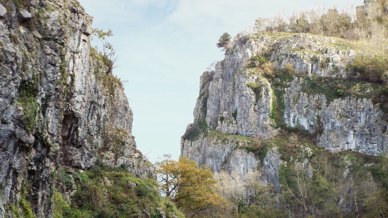 Photo of Others in Cheddar