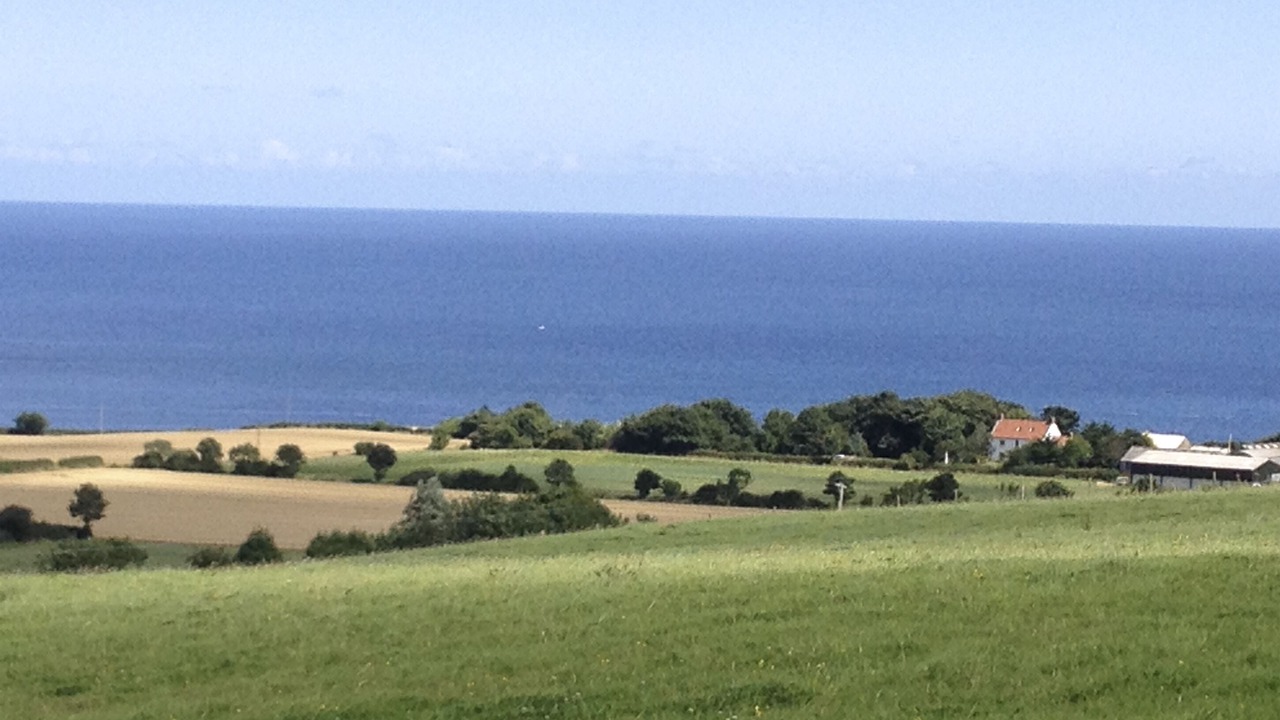 Photo of Others in Fylingdales