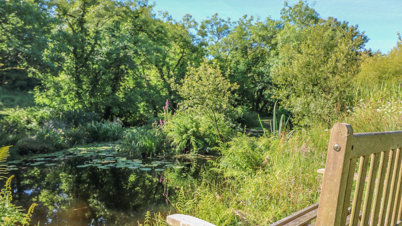 Photo of Others in Mabe