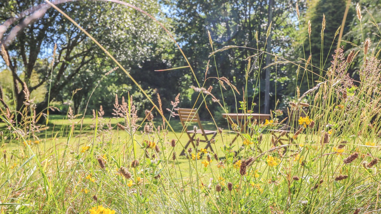 Photo of Others in Mabe