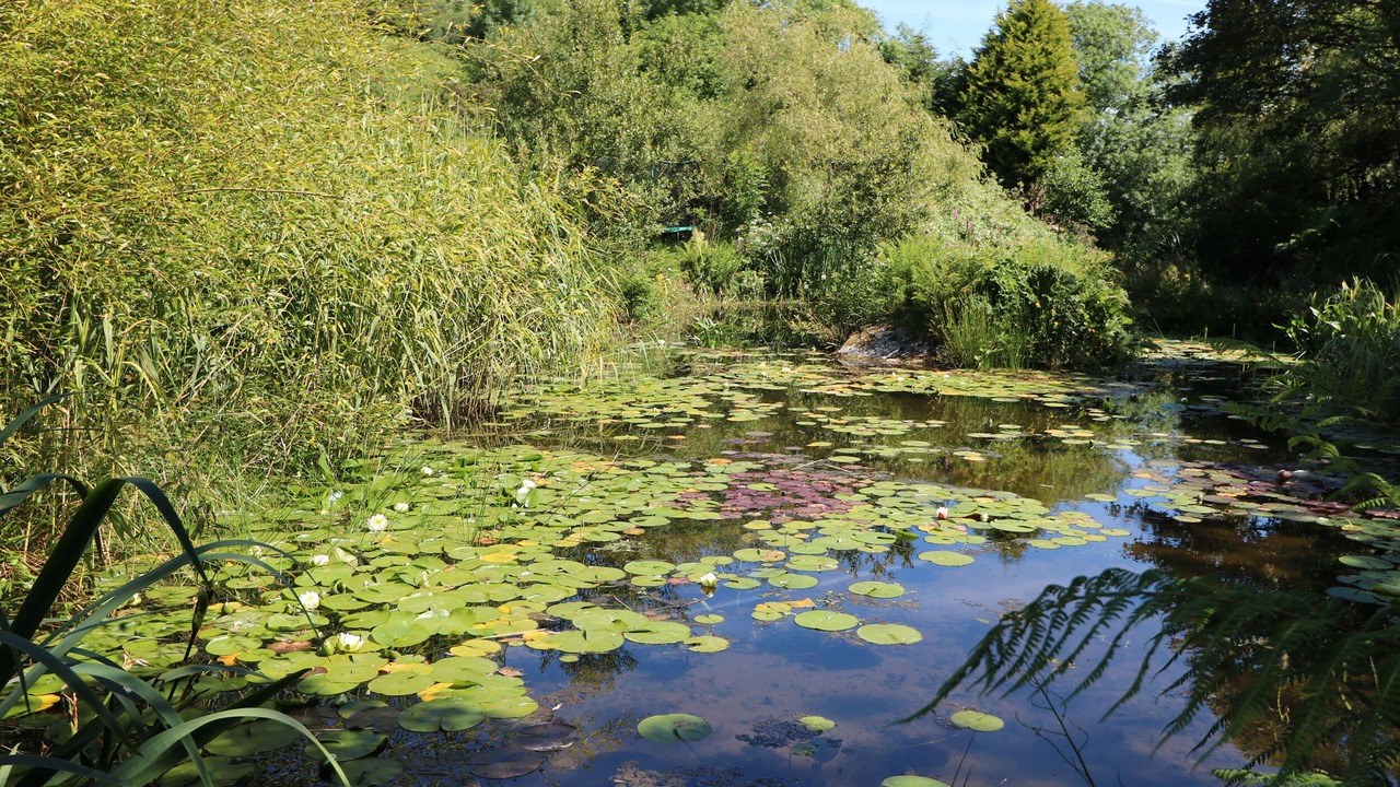 Photo of Others in Mabe