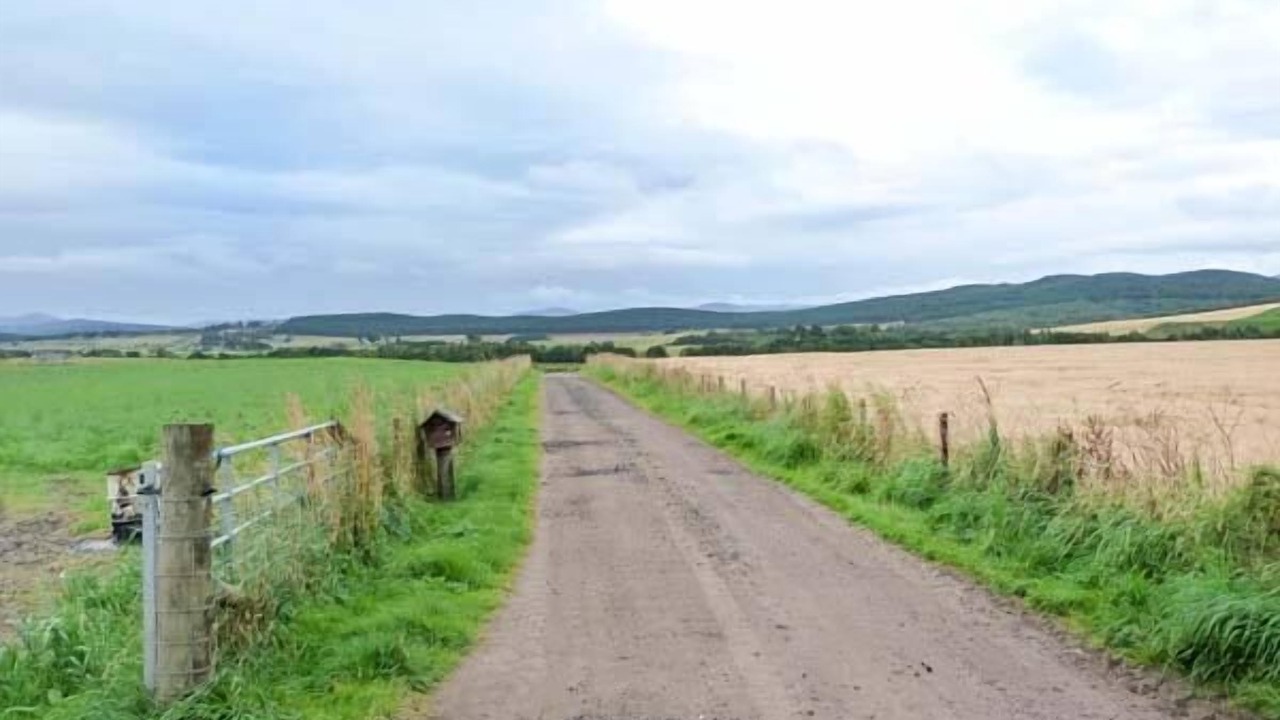 Photo of Others in Carrbridge