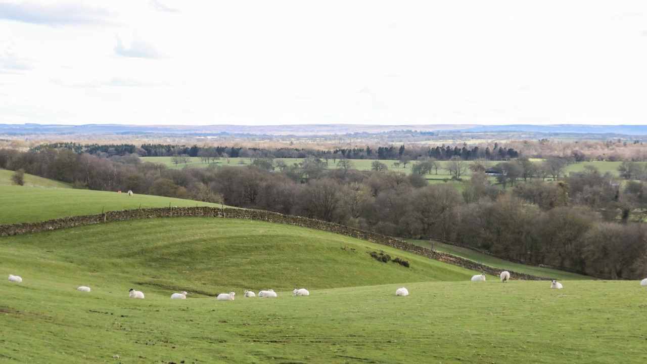 Photo of Others in Barnard Castle