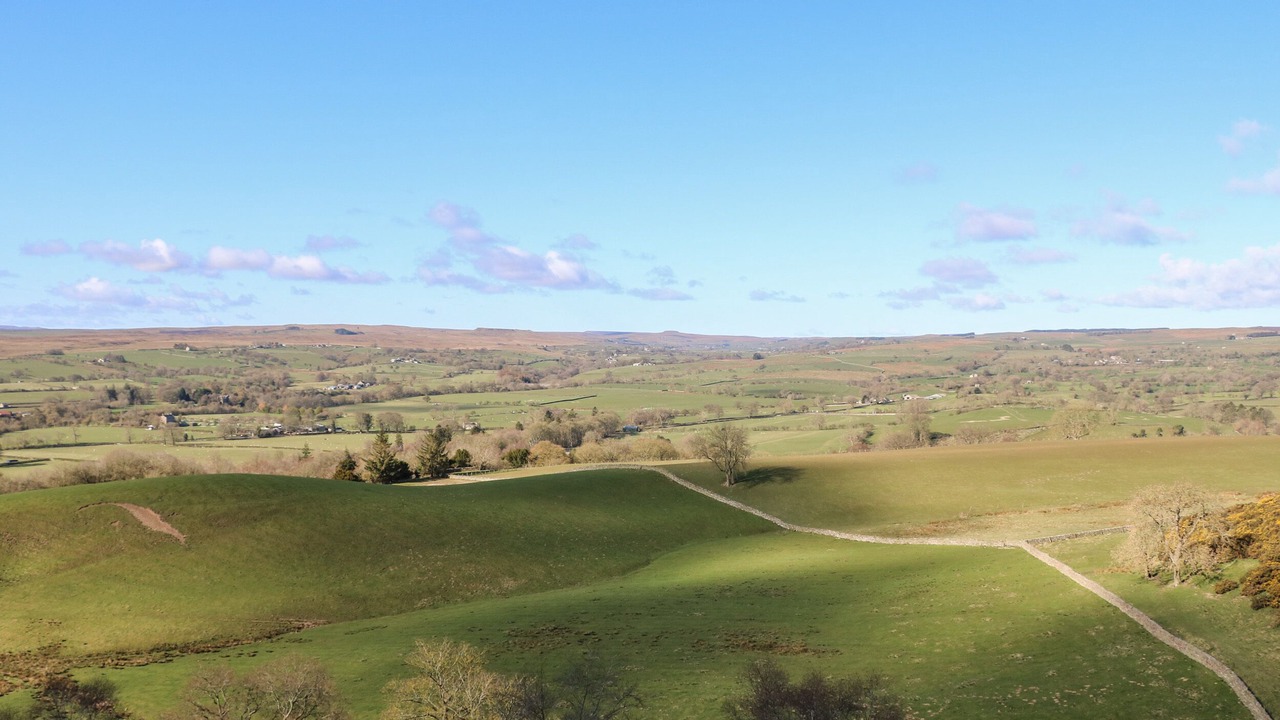 Photo of Others in Barnard Castle
