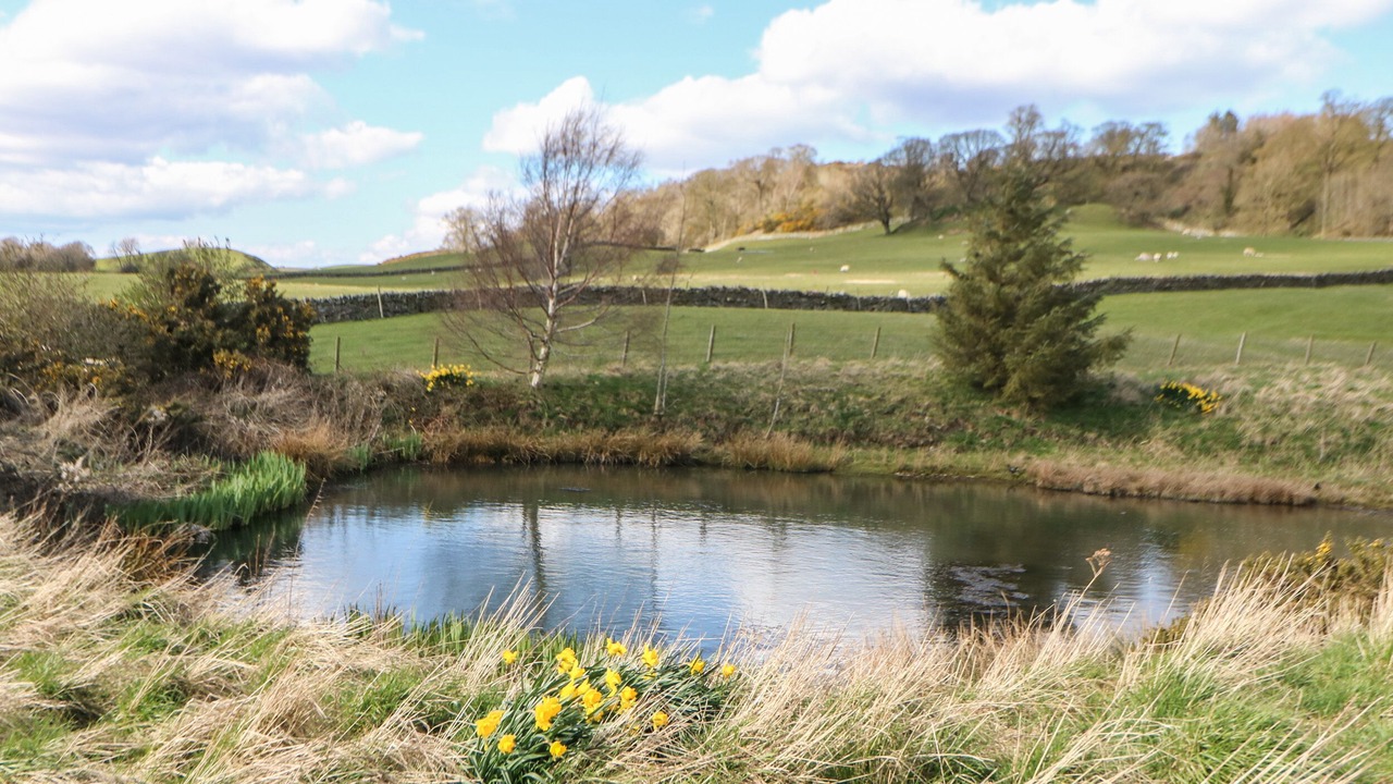 Photo of Others in Barnard Castle