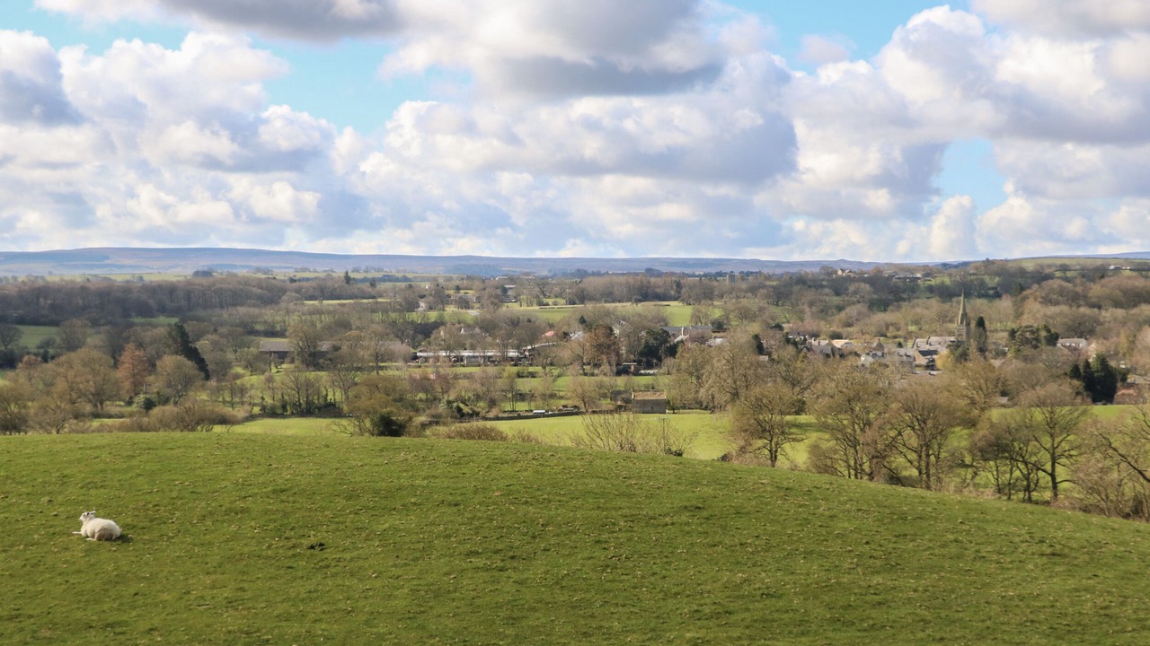 Photo of Others in Barnard Castle