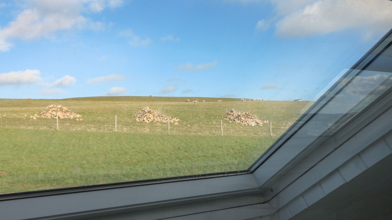 Photo of Others in Trenance