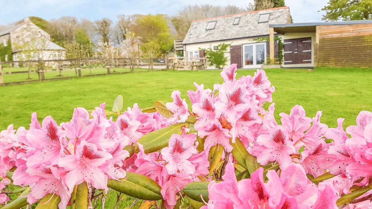 Photo of Others in Bodmin