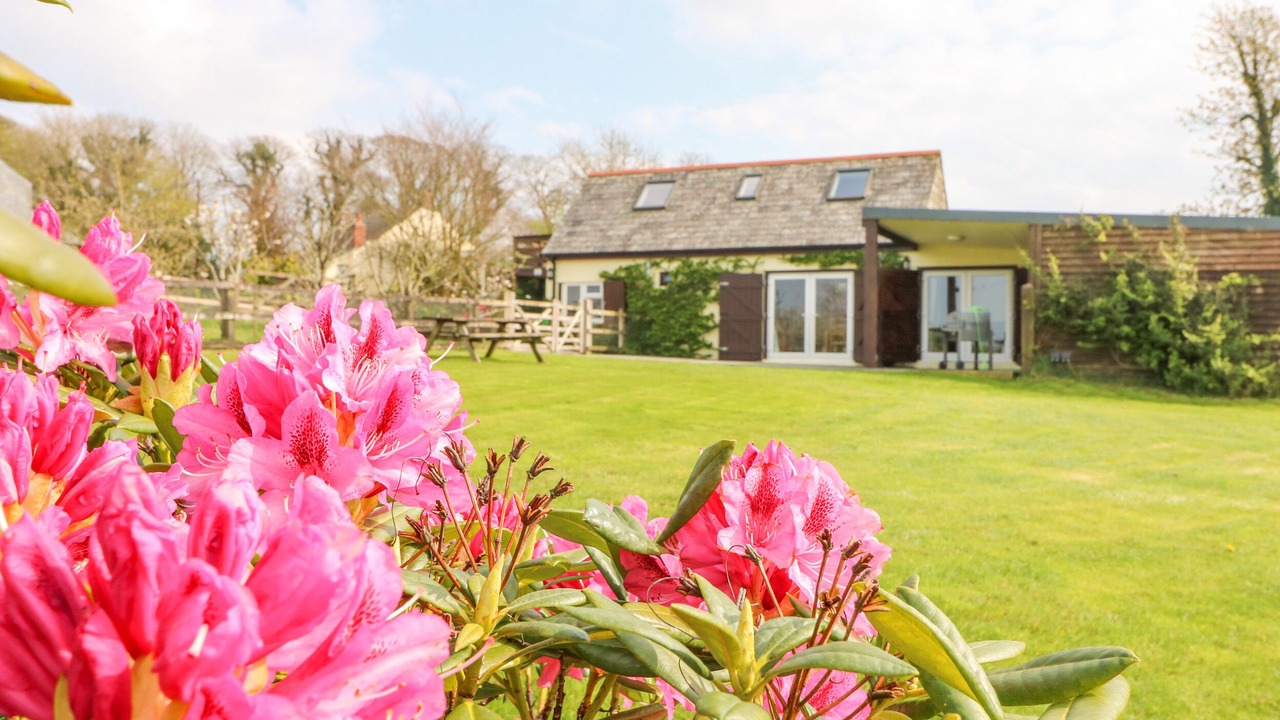 Photo of Others in Bodmin