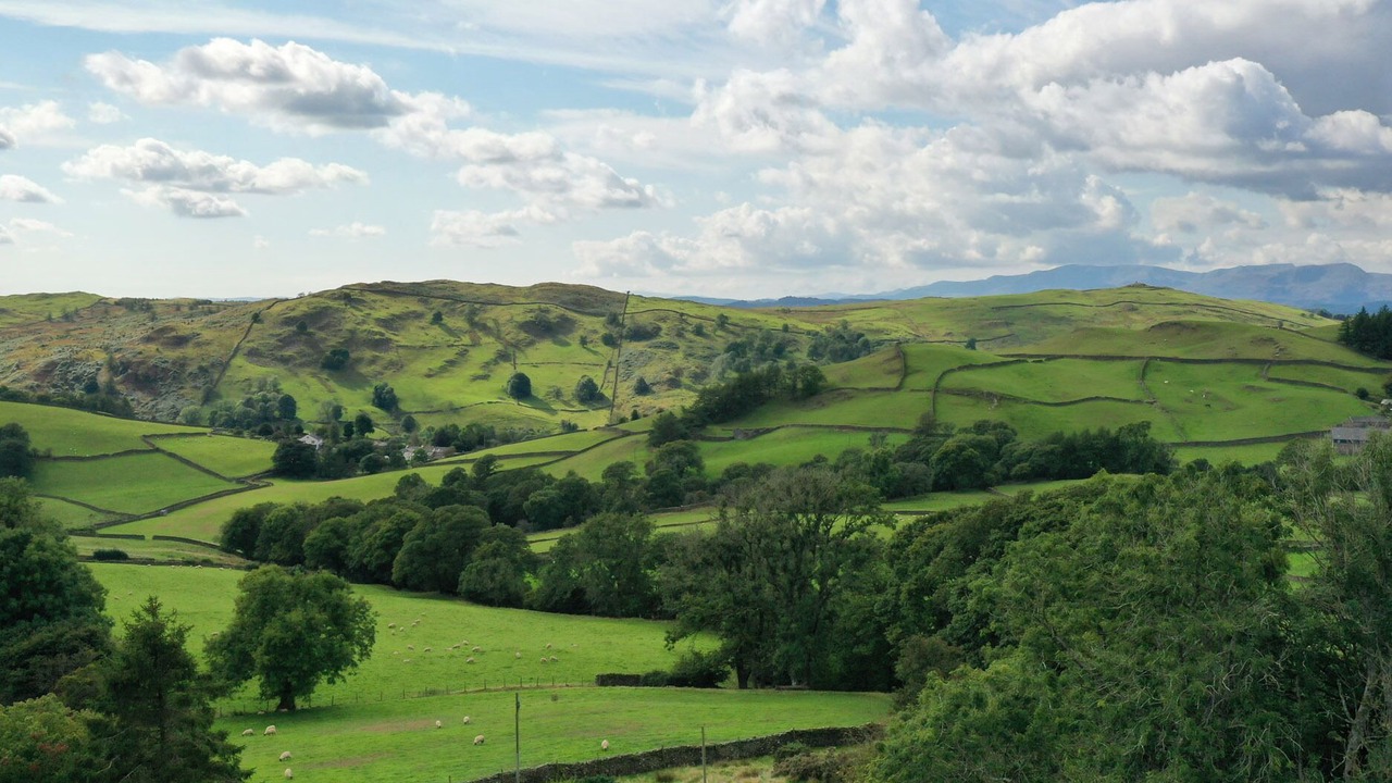 Photo of Others in Kendal