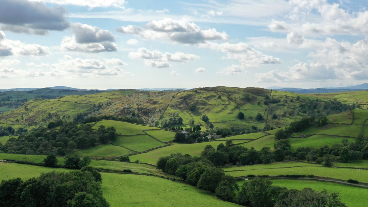 Photo of Others in Kendal