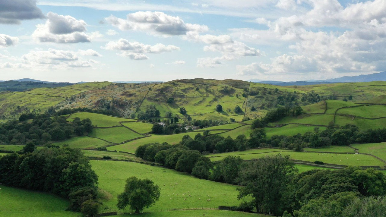 Photo of Others in Kendal