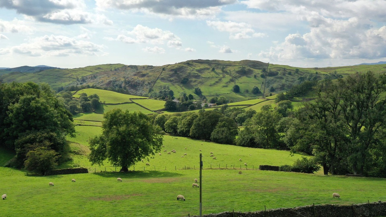 Photo of Others in Kendal