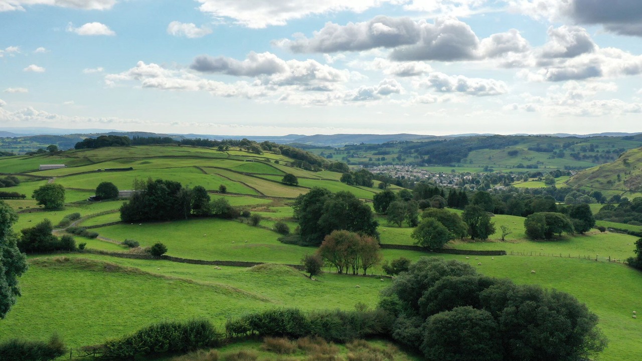 Photo of Others in Kendal