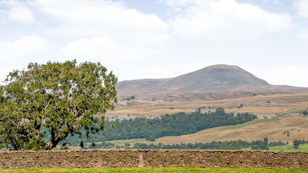 Photo of Others in Settle