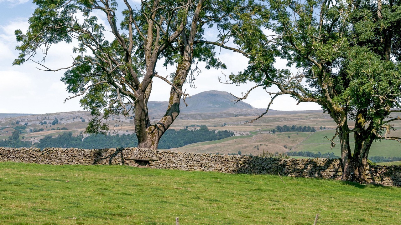 Photo of Others in Settle