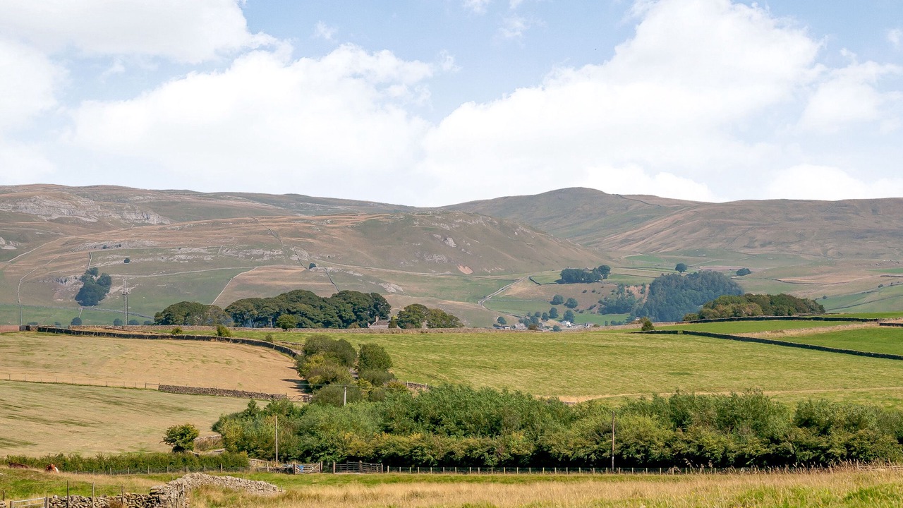 Photo of Others in Settle