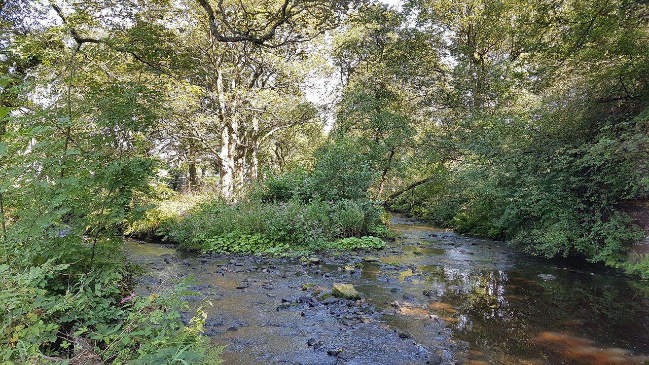 Photo of Others in Millhouse Green