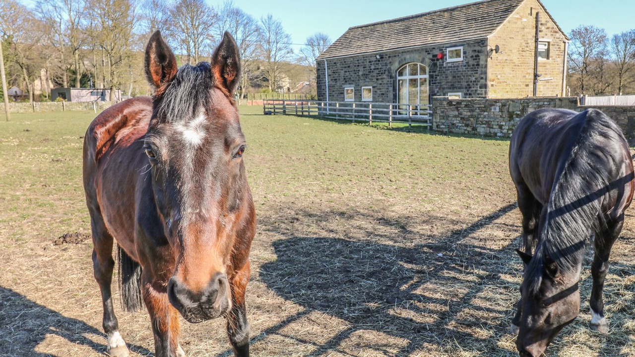 Photo of Others in Millhouse Green