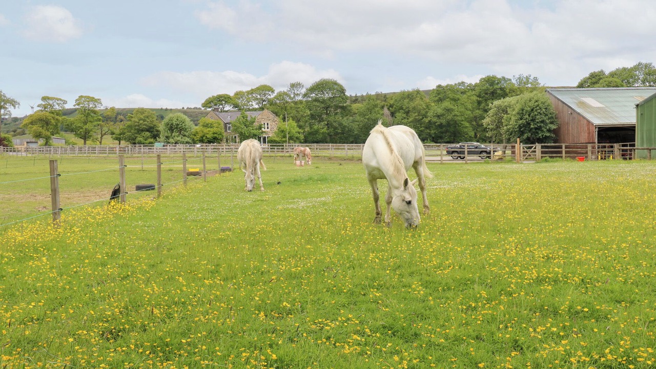 Photo of Others in Millhouse Green